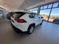 Toyota RAV 4 2.5 hybrid 4WD Business Blanco - thumbnail 22