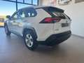 Toyota RAV 4 2.5 hybrid 4WD Business Blanco - thumbnail 21