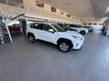 Toyota RAV 4 2.5 hybrid 4WD Business Blanco - thumbnail 8