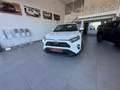 Toyota RAV 4 2.5 hybrid 4WD Business Blanco - thumbnail 19