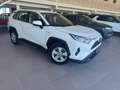 Toyota RAV 4 2.5 hybrid 4WD Business Blanco - thumbnail 5