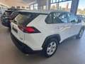 Toyota RAV 4 2.5 hybrid 4WD Business Blanco - thumbnail 17