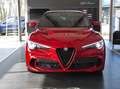 Alfa Romeo Stelvio Quadrifoglio 2.9 V6 #Panorama #SoundTheatre Rot - thumbnail 2
