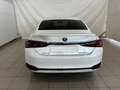 Lexus ES 300 2.5 300h Premium Blanco - thumbnail 6