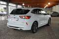 Ford Kuga Plug-In Hybrid ST-Line LED Navi B&O AHK ACC Weiß - thumbnail 5