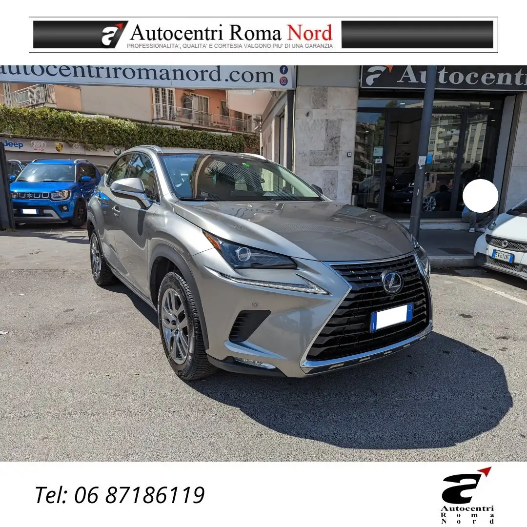 Lexus NX 300 NX 300h 2.5 Luxury 4wd cvt Šedá - 1