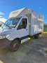 Iveco Daily Bianco - thumbnail 4