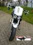 Buell XB 12 S Lightning  2007  CUSTOM  wie neu  Airbrush Argent - thumbnail 7