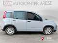 Fiat Panda 1.0 FireFly S&S Hybrid Grigio - thumbnail 7