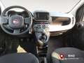 Fiat Panda 1.0 FireFly S&S Hybrid Grigio - thumbnail 12