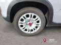 Fiat Panda 1.0 FireFly S&S Hybrid Grigio - thumbnail 9