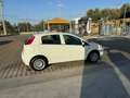 Fiat Punto 5p 1.3 mjt Street s&s 95cv Blanc - thumbnail 2