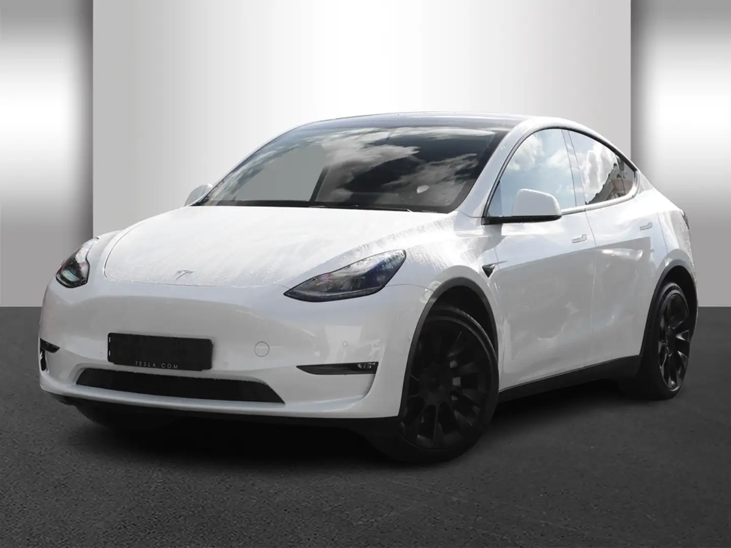 Tesla Model 3 Model Y Long Range Weiß - 2