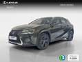Lexus UX 250h 2.0 Business Verde - thumbnail 1