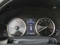 Lexus NX 300h AWD President Line | Memory Seat | Stoelverwarming Gris - thumbnail 22