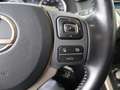 Lexus NX 300h AWD President Line | Memory Seat | Stoelverwarming Gris - thumbnail 18