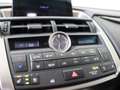 Lexus NX 300h AWD President Line | Memory Seat | Stoelverwarming Gris - thumbnail 30