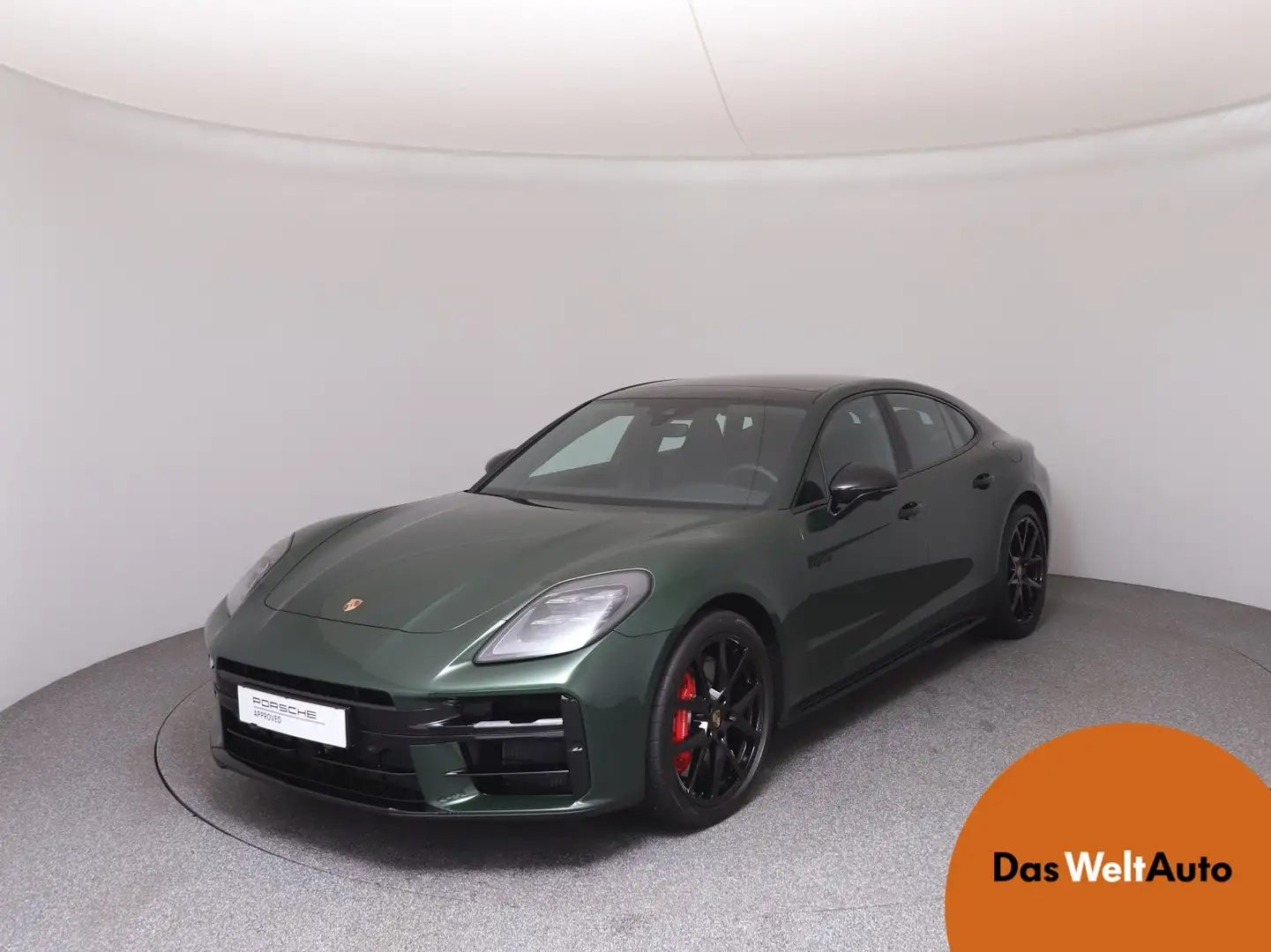 Porsche Panamera 4S E-Hybrid Grün - 1