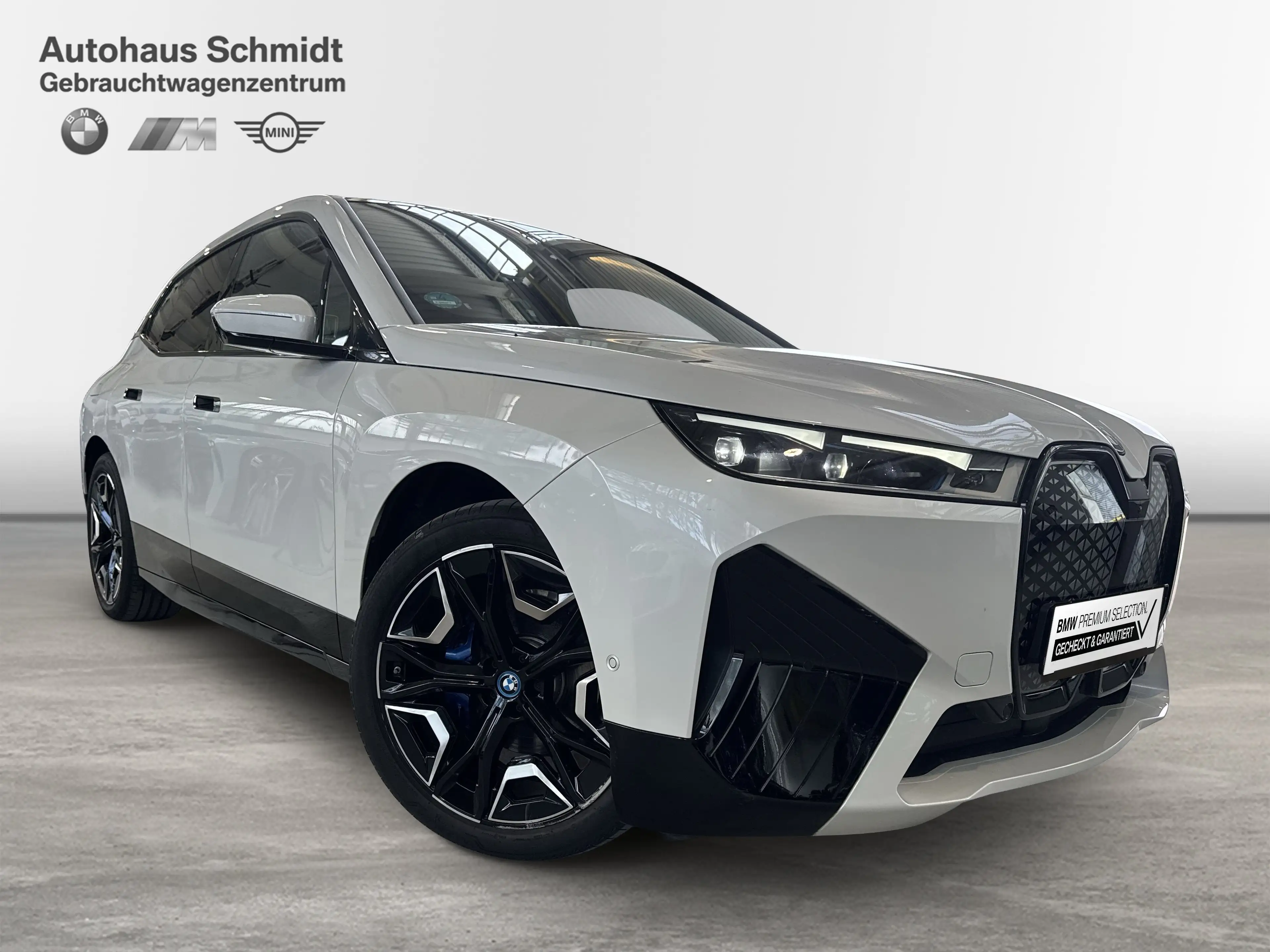 BMW iX xDrive40 Sportpaket HK HiFi DAB Pano.Dach — photo 6