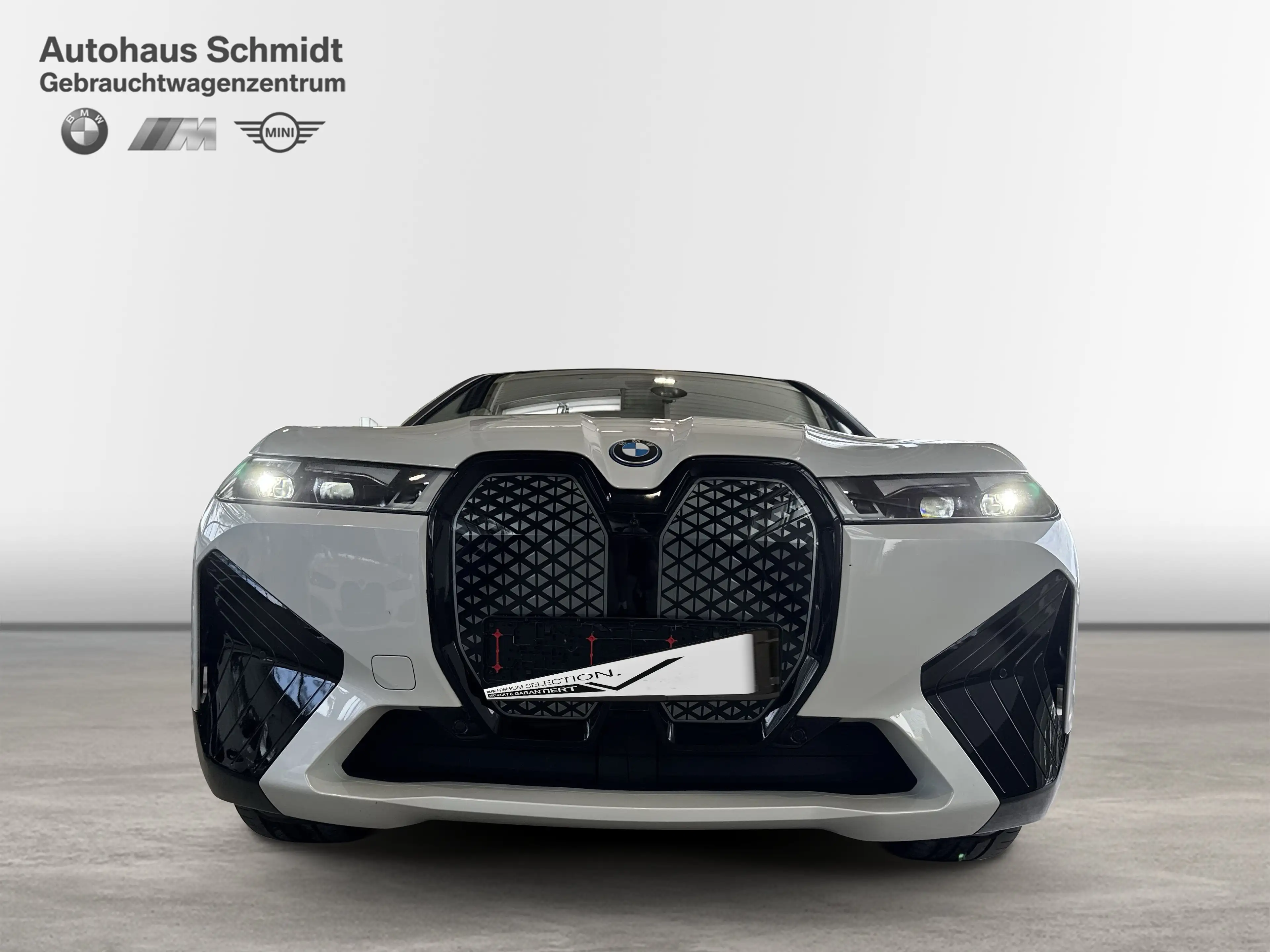 BMW iX xDrive40 Sportpaket HK HiFi DAB Pano.Dach — photo 7