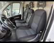 Fiat Ducato 290 30 2020 - Ducato 30 CH1 2.3 mjt 120cv E - thumbnail 12