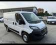 Fiat Ducato 290 30 2020 - Ducato 30 CH1 2.3 mjt 120cv E - thumbnail 3
