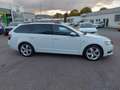 Skoda Octavia Combi 2.0 TDI DSG Ambition - thumbnail 3