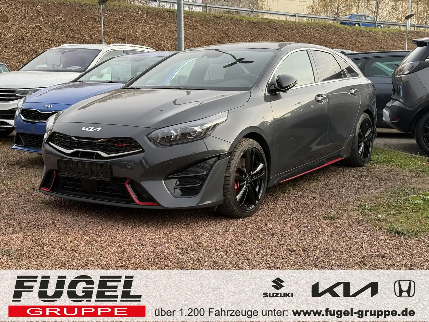 Kia ProCeed / pro_cee'd 1.6 T-GDI DCT GT Komfort Bastuck|4xSHZ|RFK|JBL|ACC Grau - 1