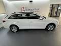 SEAT Leon SP 2,0TDI DSG Style *LED*NAVI*ACC*Sitzheizung*L... Weiß - thumbnail 3