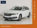 Skoda Superb Combi 1.4 TSI iV Ambition DSG LED/NAV/SH Weiß - thumbnail 1