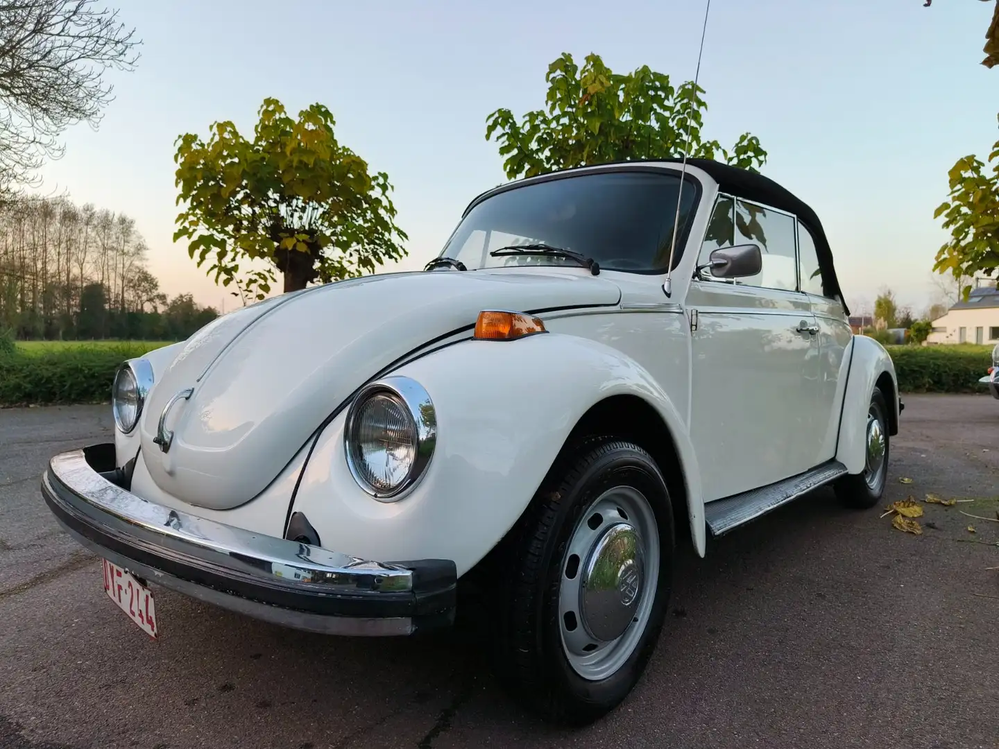 Volkswagen Kever Cabrio Blanc - 2