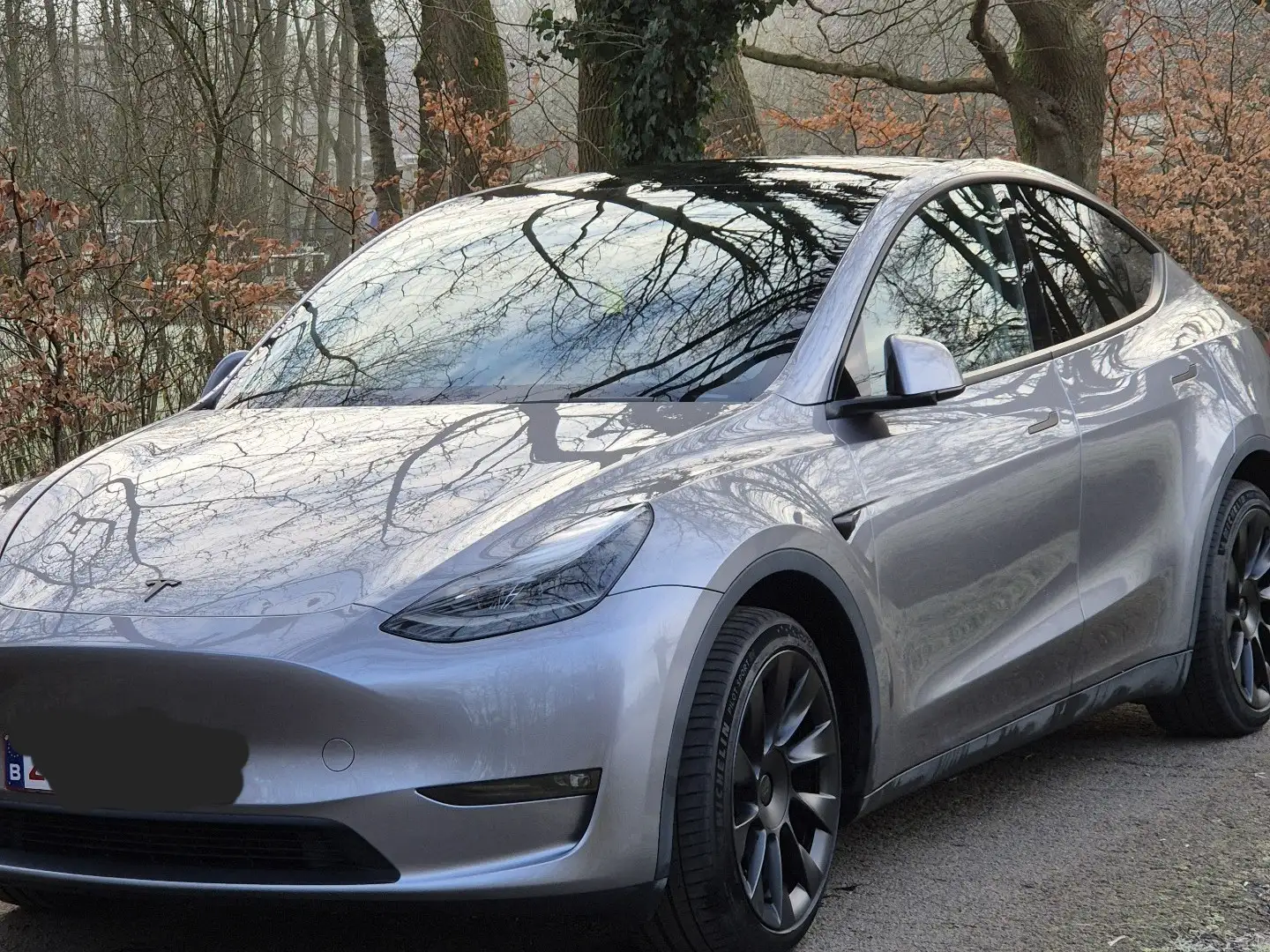Tesla Model Y Long Range Dual Motor AWD Plateado - 1