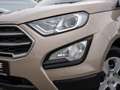 Ford EcoSport Trend Start/Stopp . AHK. KLIMA Beige - thumbnail 19