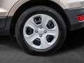Ford EcoSport Trend Start/Stopp . AHK. KLIMA Beige - thumbnail 4