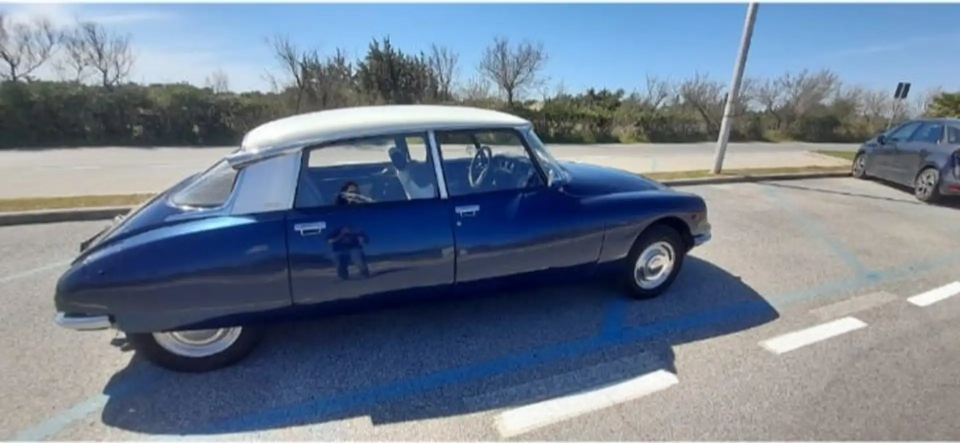 Citroen DS Albastru - 2