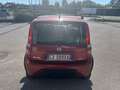 Fiat Panda Panda 1.3 mjt 16v Climbing 4x4 OK NEOPATENTATI Rosso - thumbnail 5