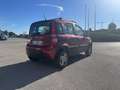 Fiat Panda Panda 1.3 mjt 16v Climbing 4x4 OK NEOPATENTATI Rosso - thumbnail 6