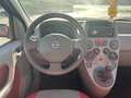 Fiat Panda Panda 1.3 mjt 16v Climbing 4x4 OK NEOPATENTATI Rosso - thumbnail 9