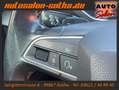 SEAT Tarraco Xcellence DSG 4Drive 7-Sitze CAM+Standhz Blau - thumbnail 20