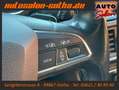 SEAT Tarraco Xcellence DSG 4Drive 7-Sitze CAM+Standhz Blau - thumbnail 17