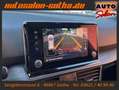 SEAT Tarraco Xcellence DSG 4Drive 7-Sitze CAM+Standhz Blau - thumbnail 15
