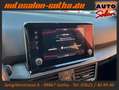 SEAT Tarraco Xcellence DSG 4Drive 7-Sitze CAM+Standhz Blau - thumbnail 16