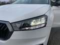Skoda Fabia Fabia 1.0 MPI 80 CV Style Bianco - thumbnail 36