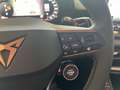 CUPRA Terramar 1.5 DSG AHK|HUD|19|Navi|Matrix|elek.HK Blau - thumbnail 20