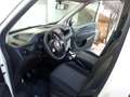 Fiat Doblo Doblò 1.3 MJT S&S PC-TN Cargo Business Bianco - thumbnail 5