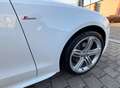 Audi A5 2.0 TFSI quattro S-LiNE|NAVI|TEMP|SHZ|LED|TOP Weiß - thumbnail 7