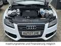 Audi A5 2.0 TFSI quattro S-LiNE|NAVI|TEMP|SHZ|LED|TOP Weiß - thumbnail 8