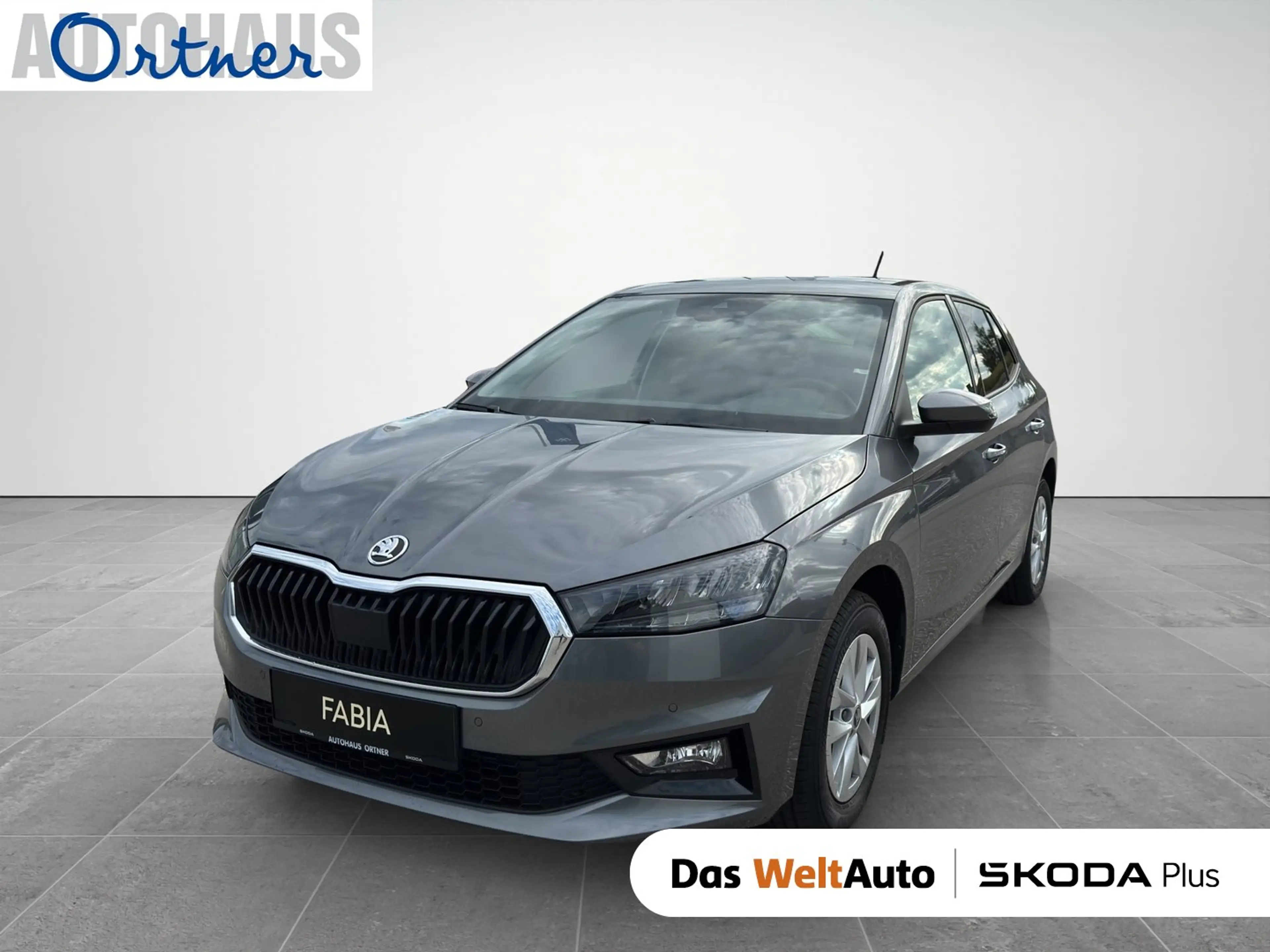 Skoda Fabia Selection TSI