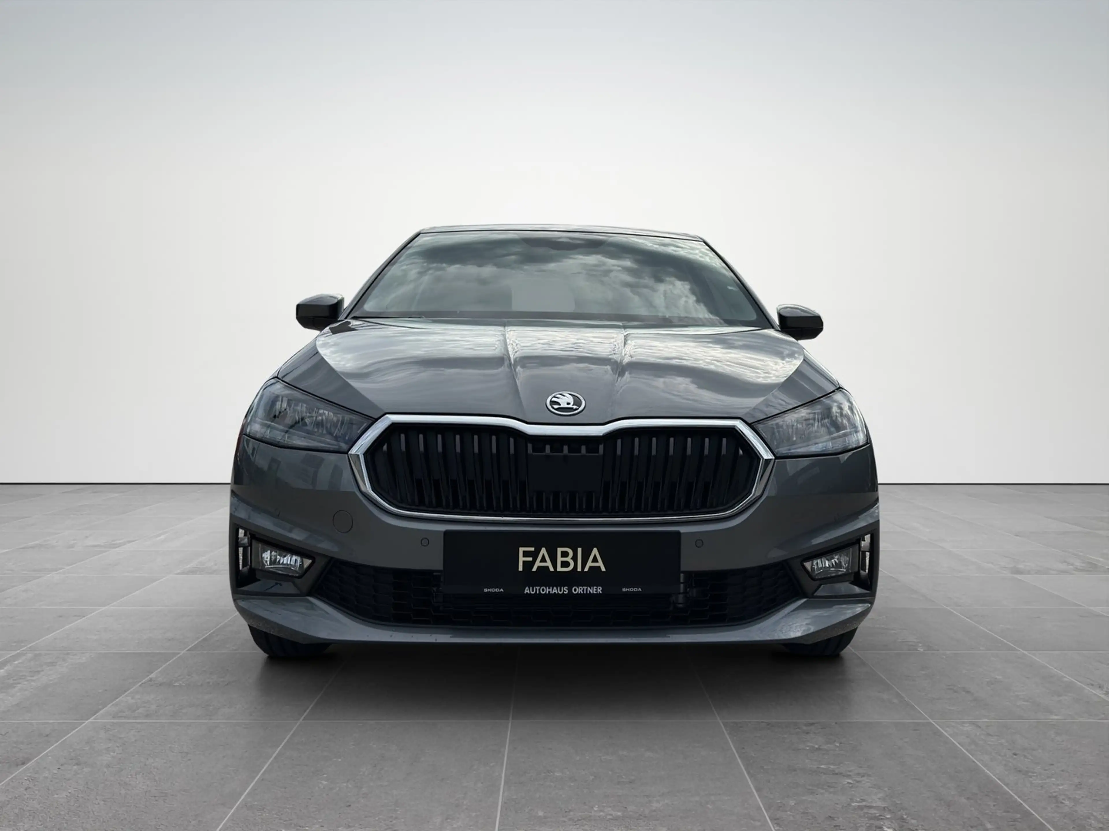 Skoda Fabia Selection TSI — photo 2