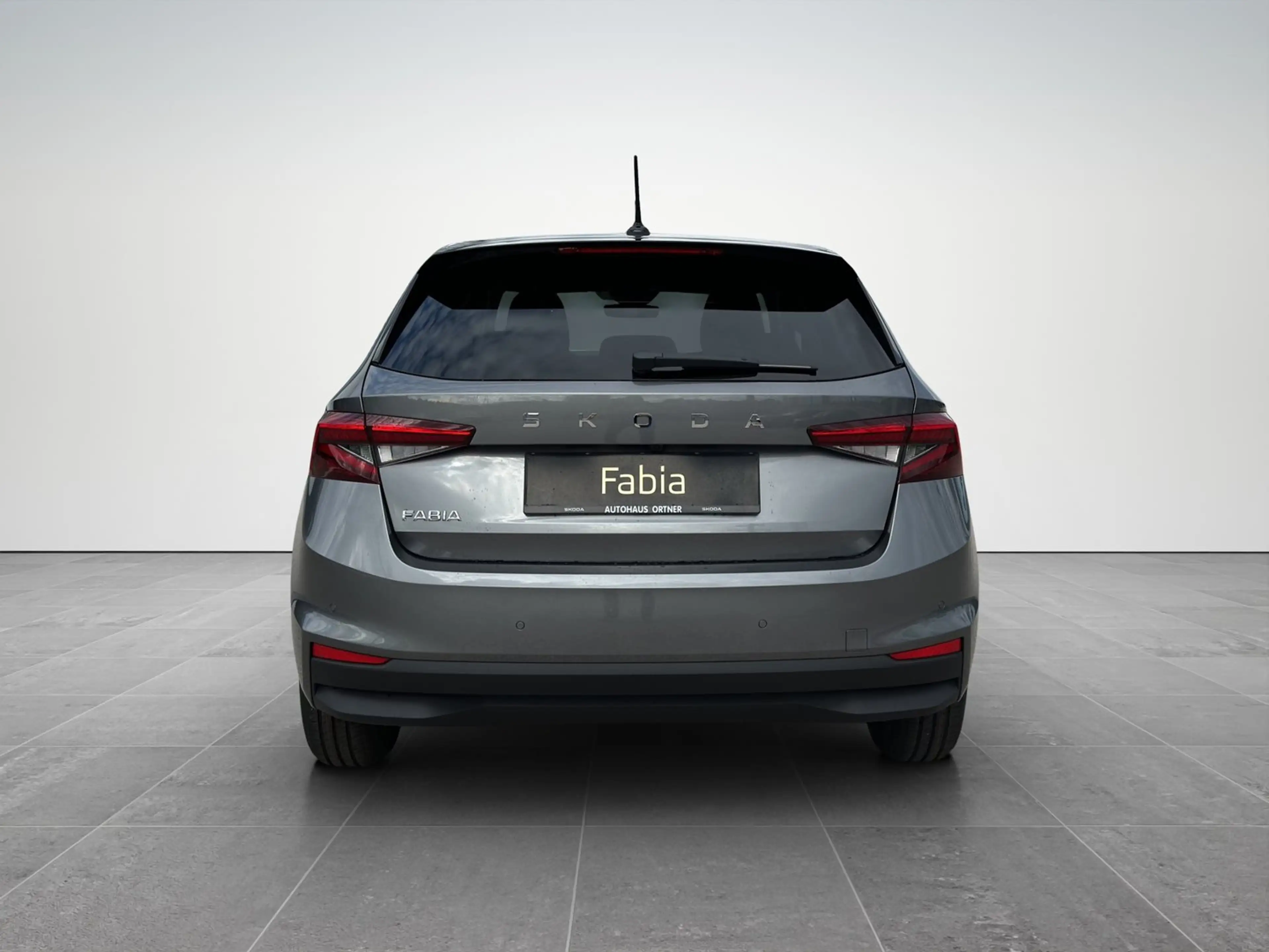 Skoda Fabia Selection TSI — photo 5